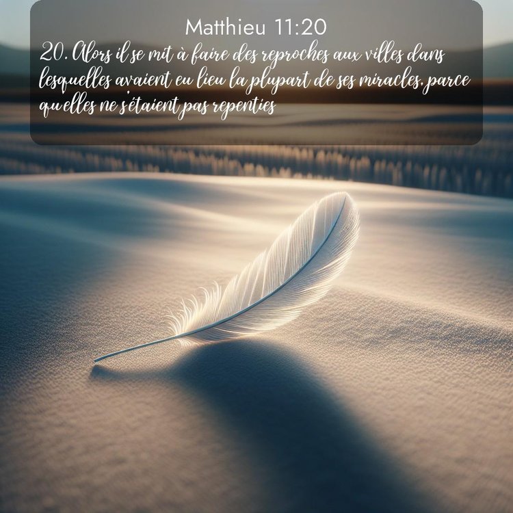 Segond Évangile selon Matthieu 11:20