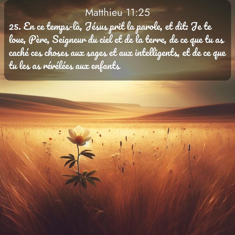 Segond Évangile selon Matthieu 11:25