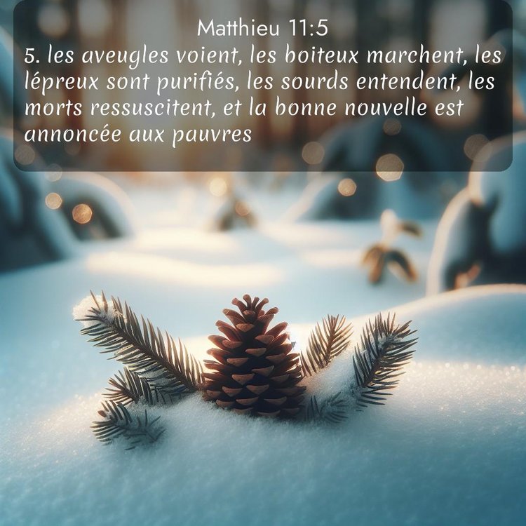 Segond Évangile selon Matthieu 11:5