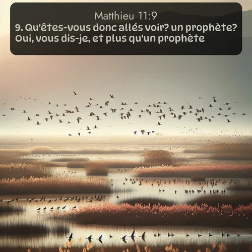Segond Évangile selon Matthieu  ; image nature: image avec le verset biblique :Qu&#039;êtes-vous donc allés voir? un prophète? Oui, vous dis-je, et plus qu&#039;un prophète. ;  ; 11:9