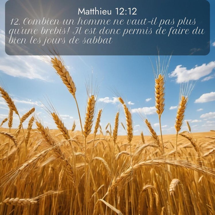 image nature avec verset biblique de la Bible