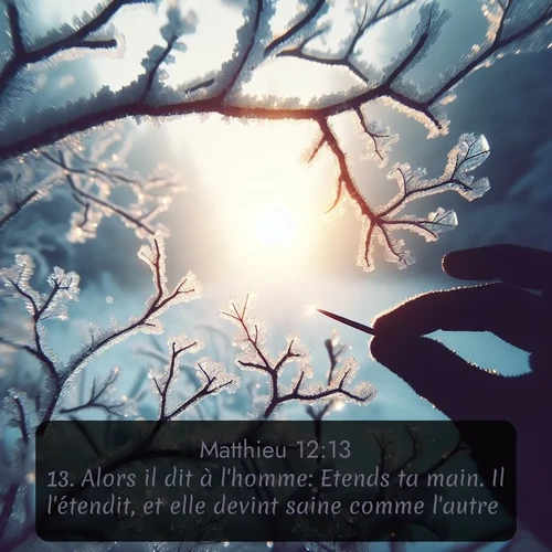 Segond Évangile selon Matthieu  ; image nature: image avec le verset biblique :Alors il dit à l&#039;homme: Etends ta main. Il l&#039;étendit, et elle devint saine comme l&#039;autre. ;  ; 12:13