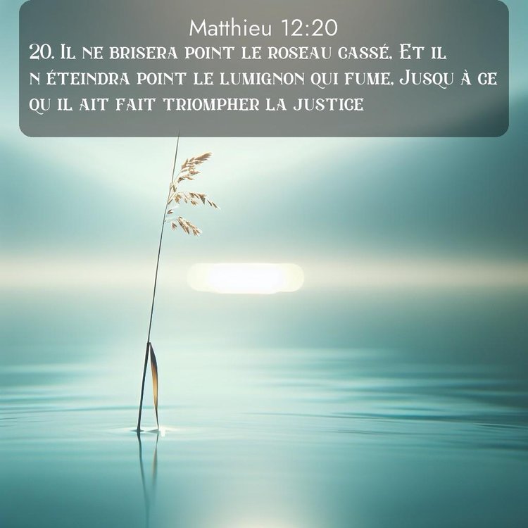 Segond Évangile selon Matthieu 12:20