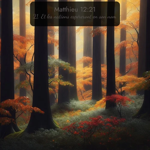 Segond Évangile selon Matthieu  ; image nature: image avec le verset biblique :Et les nations espéreront en son nom. ;  ; 12:21