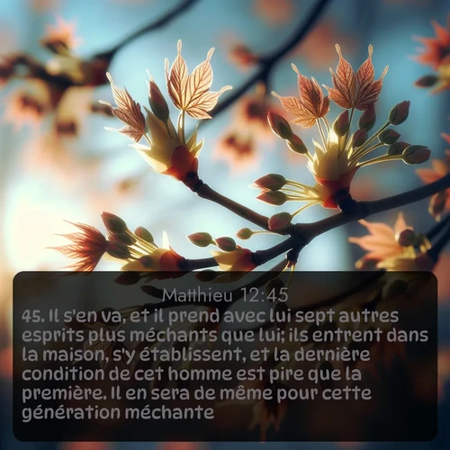 Segond Évangile selon Matthieu  ; image nature: image avec le verset biblique :Il s&#039;en va, et il prend avec lui sept autres esprits plus méchants que lui; ils entrent dans la maison, s&#039;y établissent, et la dernière condition de cet homme est pire que la première. Il en sera de même pour cette génération méchante. ;  ; 12:45