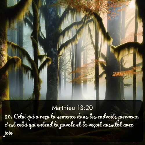 Segond Évangile selon Matthieu  ; image nature: image avec le verset biblique :Celui qui a reçu la semence dans les endroits pierreux, c&#039;est celui qui entend la parole et la reçoit aussitôt avec joie; ;  ; 13:20