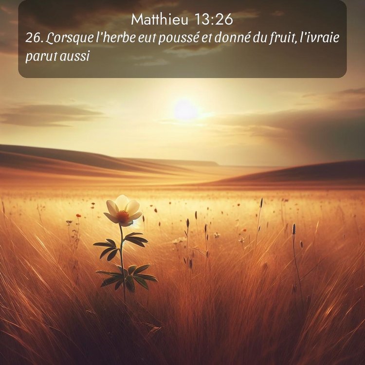 Segond Évangile selon Matthieu 13:26