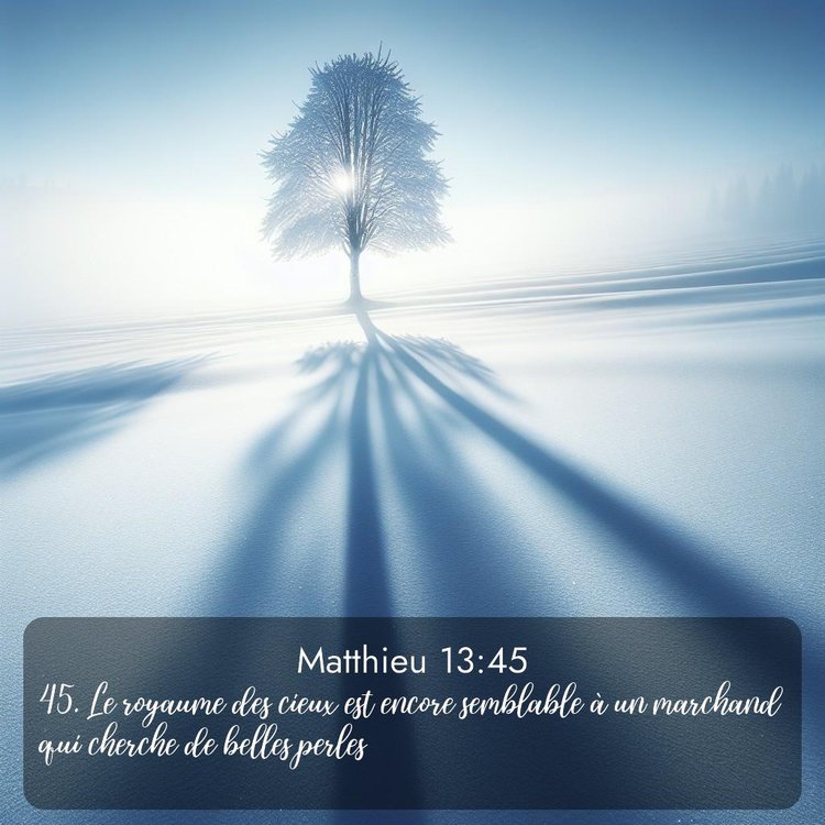 Segond Évangile selon Matthieu 13:45