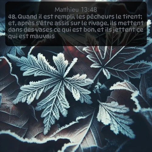 Segond Évangile selon Matthieu  ; image nature: image avec le verset biblique :Quand il est rempli, les pêcheurs le tirent; et, après s&#039;être assis sur le rivage, ils mettent dans des vases ce qui est bon, et ils jettent ce qui est mauvais. ;  ; 13:48