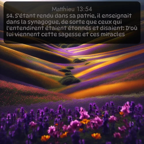 Segond Évangile selon Matthieu  ; image nature: image avec le verset biblique :S&#039;étant rendu dans sa patrie, il enseignait dans la synagogue, de sorte que ceux qui l&#039;entendirent étaient étonnés et disaient: D&#039;où lui viennent cette sagesse et ces miracles? ;  ; 13:54