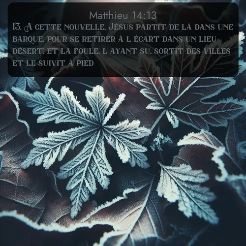 Segond Évangile selon Matthieu  ; image nature: image avec le verset biblique :A cette nouvelle, Jésus partit de là dans une barque, pour se retirer à l&#039;écart dans un lieu désert; et la foule, l&#039;ayant su, sortit des villes et le suivit à pied. ;  ; 14:13