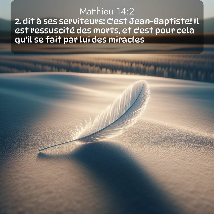 Segond Évangile selon Matthieu 14:2