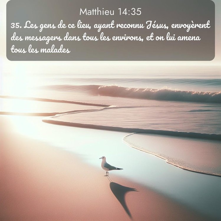 Segond Évangile selon Matthieu 14:35