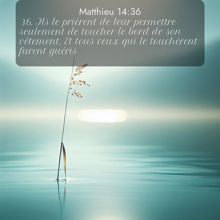 Segond Évangile selon Matthieu 14:36