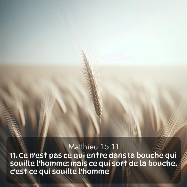 Segond Évangile selon Matthieu 15:11