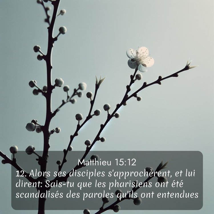 Segond Évangile selon Matthieu 15:12