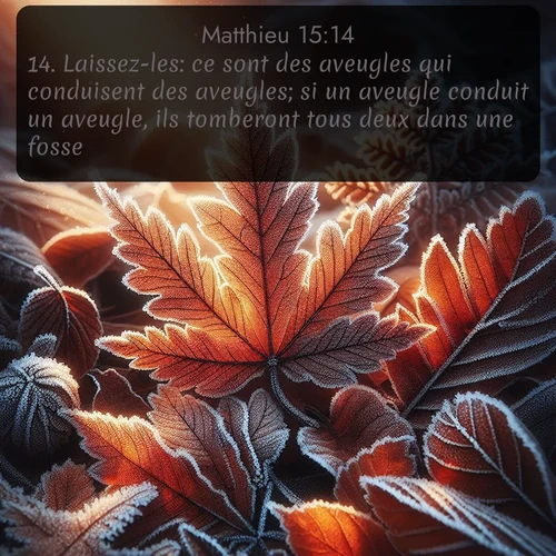 Segond Évangile selon Matthieu  ; image nature: image avec le verset biblique :Laissez-les: ce sont des aveugles qui conduisent des aveugles; si un aveugle conduit un aveugle, ils tomberont tous deux dans une fosse. ;  ; 15:14