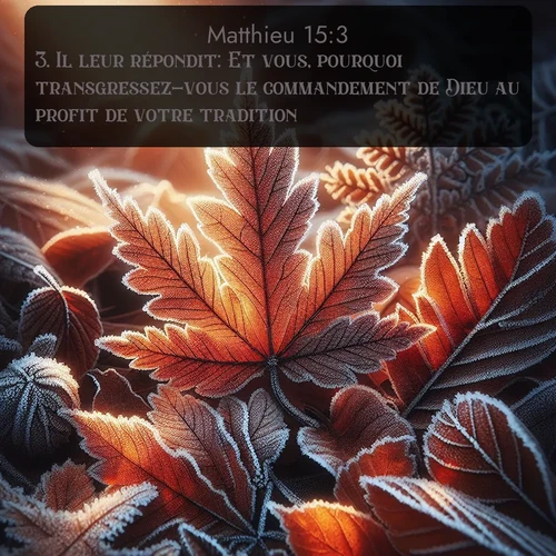 Segond Évangile selon Matthieu  ; image nature: image avec le verset biblique :Il leur répondit: Et vous, pourquoi transgressez-vous le commandement de Dieu au profit de votre tradition? ;  ; 15:3