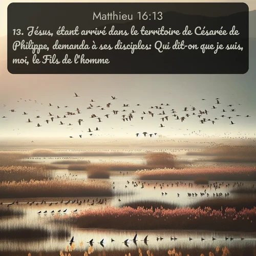 Segond Évangile selon Matthieu  ; image nature: image avec le verset biblique :Jésus, étant arrivé dans le territoire de Césarée de Philippe, demanda à ses disciples: Qui dit-on que je suis, moi, le Fils de l&#039;homme? ;  ; 16:13