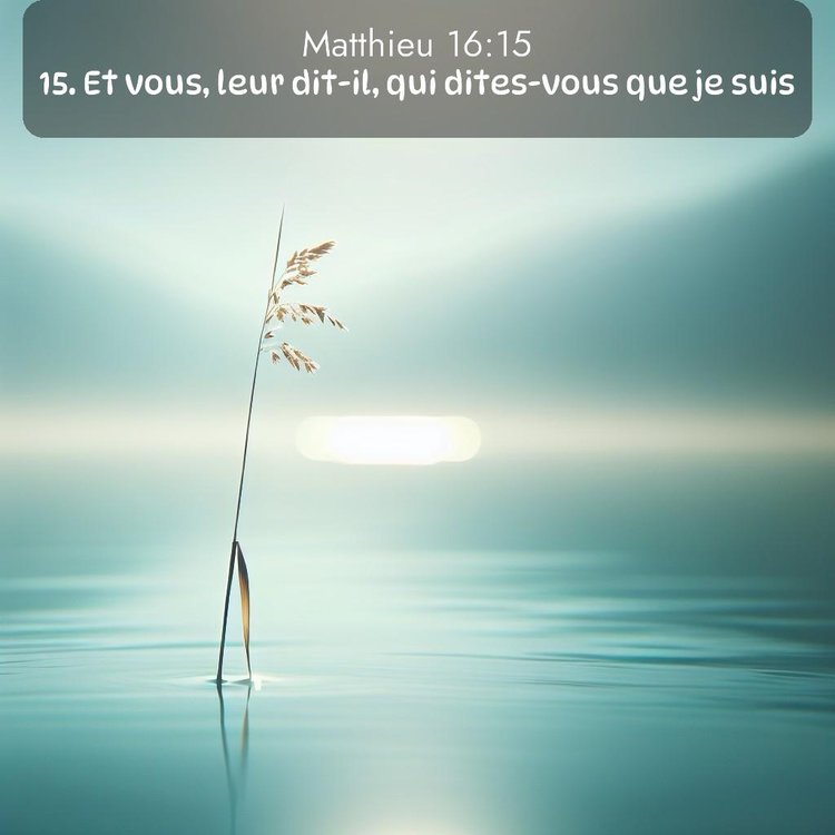 Segond Évangile selon Matthieu 16:15