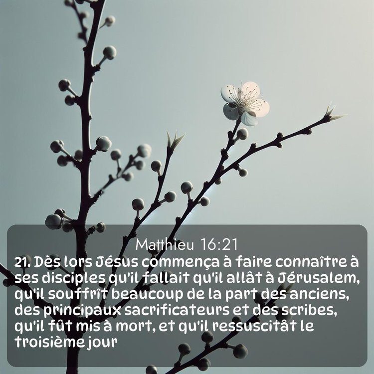 Segond Évangile selon Matthieu 16:21