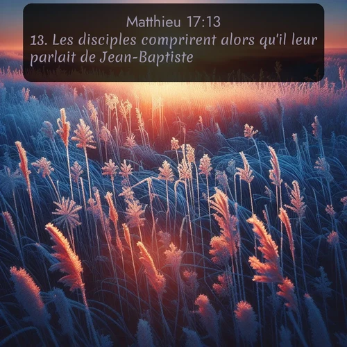 Segond Évangile selon Matthieu  ; image nature: image avec le verset biblique :Les disciples comprirent alors qu&#039;il leur parlait de Jean-Baptiste. ;  ; 17:13