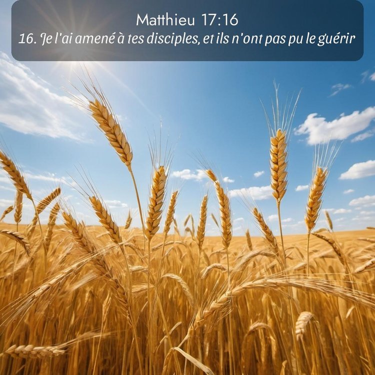 Segond Évangile selon Matthieu 17:16