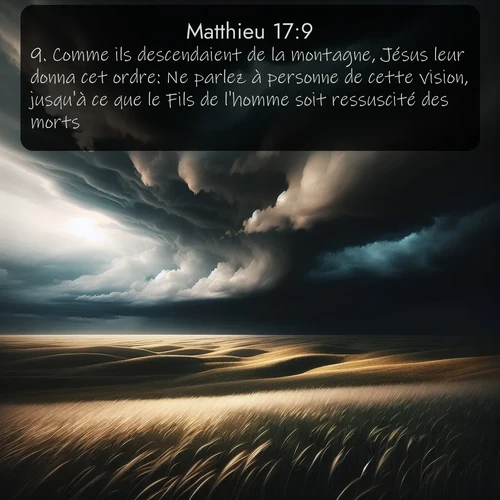 Segond Évangile selon Matthieu  ; image nature: image avec le verset biblique :Comme ils descendaient de la montagne, Jésus leur donna cet ordre: Ne parlez à personne de cette vision, jusqu&#039;à ce que le Fils de l&#039;homme soit ressuscité des morts. ;  ; 17:9