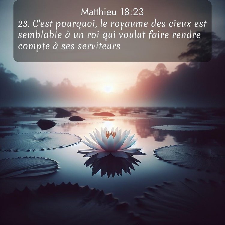 Segond Évangile selon Matthieu 18:23