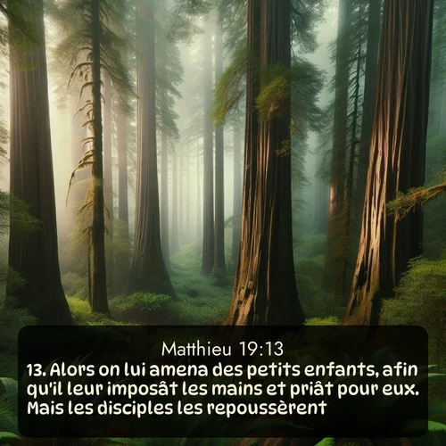Segond Évangile selon Matthieu  ; image nature: image avec le verset biblique :Alors on lui amena des petits enfants, afin qu&#039;il leur imposât les mains et priât pour eux. Mais les disciples les repoussèrent. ;  ; 19:13