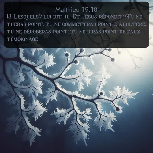 Segond Évangile selon Matthieu  ; image nature: image avec le verset biblique :Lesquels? lui dit-il. Et Jésus répondit: Tu ne tueras point; tu ne commettras point d&#039;adultère; tu ne déroberas point; tu ne diras point de faux témoignage; ;  ; 19:18