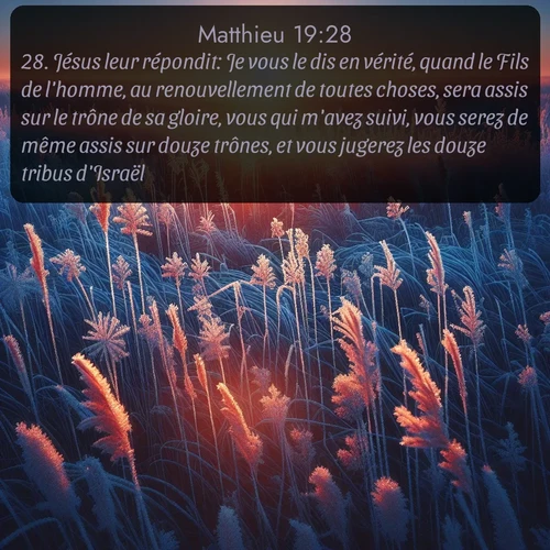 Segond Évangile selon Matthieu  ; image nature: image avec le verset biblique :Jésus leur répondit: Je vous le dis en vérité, quand le Fils de l&#039;homme, au renouvellement de toutes choses, sera assis sur le trône de sa gloire, vous qui m&#039;avez suivi, vous serez de même assis sur douze trônes, et vous jugerez les douze tribus d&#039;Israël. ;  ; 19:28