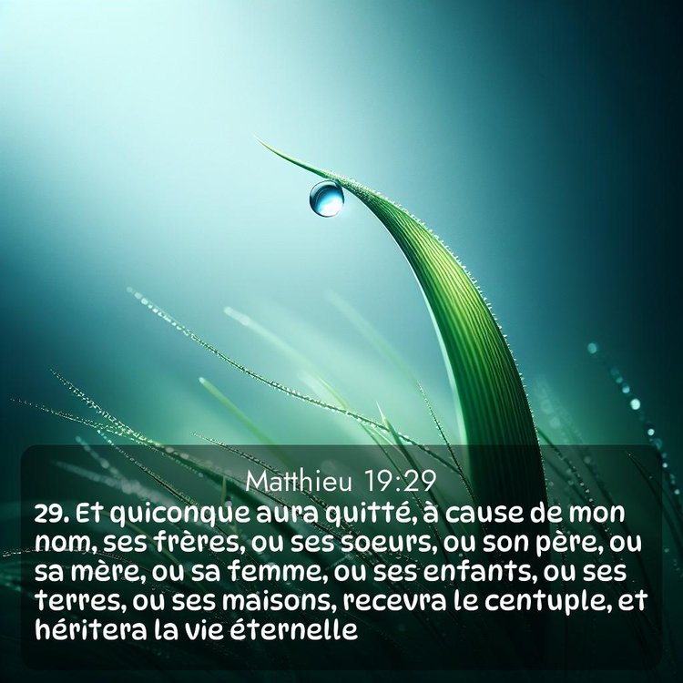 Segond Évangile selon Matthieu 19:29