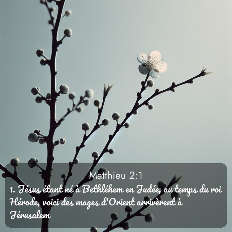 image nature avec verset biblique de la Bible