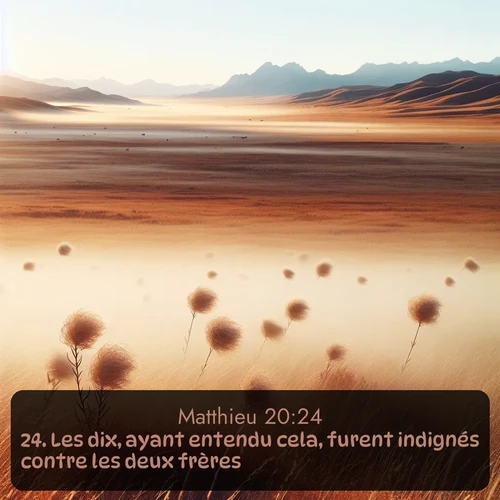 Segond Évangile selon Matthieu  ; image nature: image avec le verset biblique :Les dix, ayant entendu cela, furent indignés contre les deux frères. ;  ; 20:24