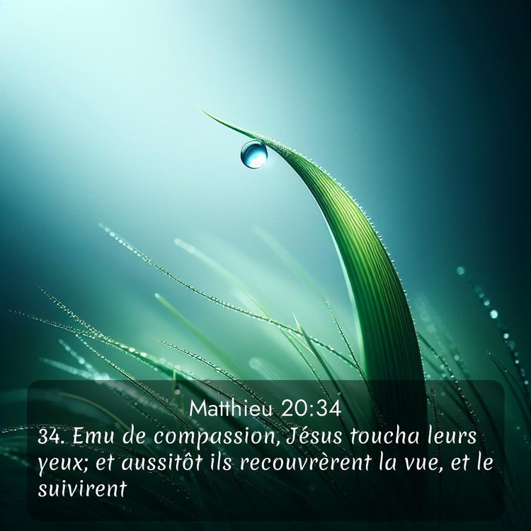 Segond Évangile selon Matthieu 20:34