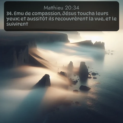 Segond Évangile selon Matthieu  ; image nature: image avec le verset biblique :Emu de compassion, Jésus toucha leurs yeux; et aussitôt ils recouvrèrent la vue, et le suivirent. ;  ; 20:34