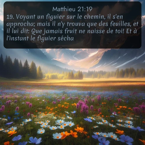Segond Évangile selon Matthieu  ; image nature: image avec le verset biblique :Voyant un figuier sur le chemin, il s&#039;en approcha; mais il n&#039;y trouva que des feuilles, et il lui dit: Que jamais fruit ne naisse de toi! Et à l&#039;instant le figuier sécha. ;  ; 21:19