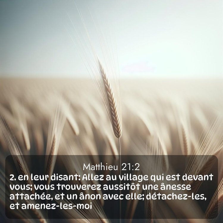 Segond Évangile selon Matthieu 21:2