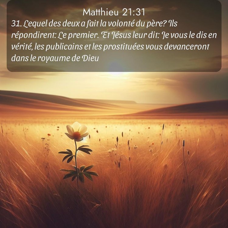 Segond Évangile selon Matthieu 21:31