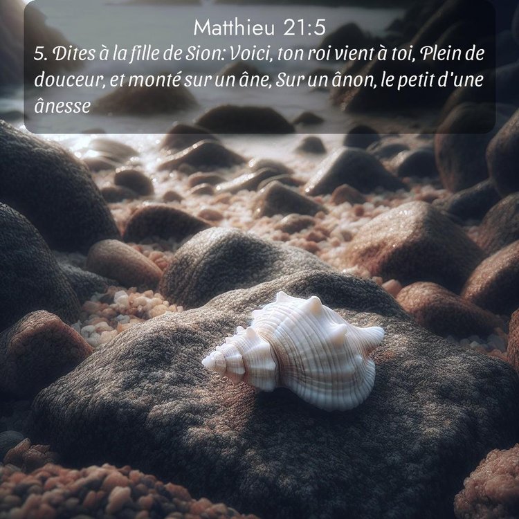 Segond Évangile selon Matthieu 21:5