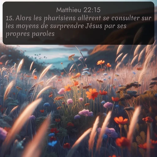 Segond Évangile selon Matthieu  ; image nature: image avec le verset biblique :Alors les pharisiens allèrent se consulter sur les moyens de surprendre Jésus par ses propres paroles. ;  ; 22:15
