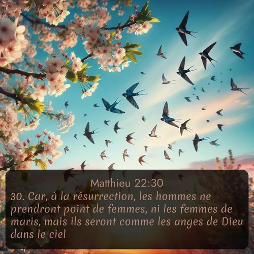 Segond Évangile selon Matthieu  ; image nature: image avec le verset biblique :Car, à la résurrection, les hommes ne prendront point de femmes, ni les femmes de maris, mais ils seront comme les anges de Dieu dans le ciel. ;  ; 22:30