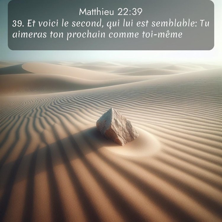 Segond Évangile selon Matthieu 22:39