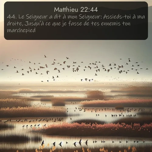 Segond Évangile selon Matthieu  ; image nature: image avec le verset biblique :Le Seigneur a dit à mon Seigneur: Assieds-toi à ma droite, Jusqu&#039;à ce que je fasse de tes ennemis ton marchepied? ;  ; 22:44