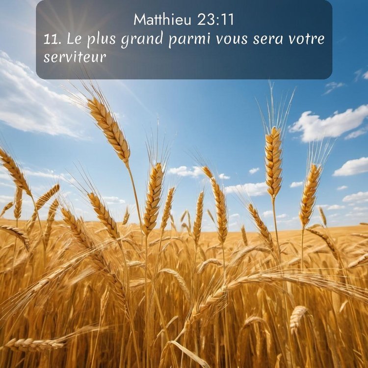 Segond Évangile selon Matthieu 23:11