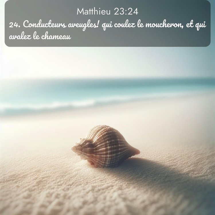 Segond Évangile selon Matthieu 23:24