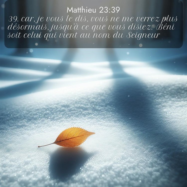 Segond Évangile selon Matthieu 23:39