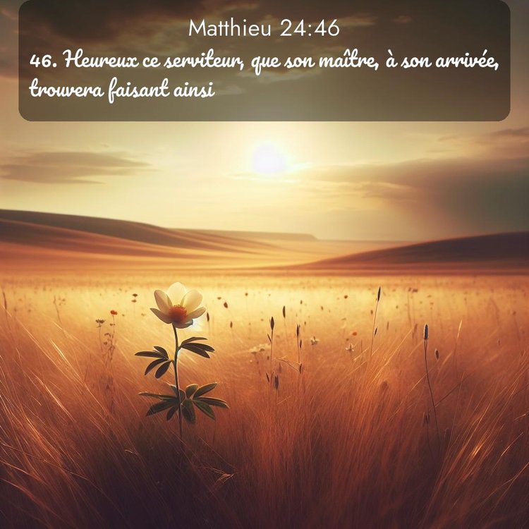 Segond Évangile selon Matthieu 24:46