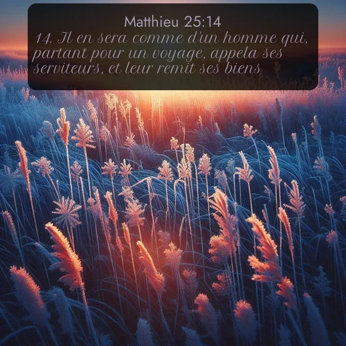 Segond Évangile selon Matthieu  ; image nature: image avec le verset biblique :Il en sera comme d&#039;un homme qui, partant pour un voyage, appela ses serviteurs, et leur remit ses biens. ;  ; 25:14
